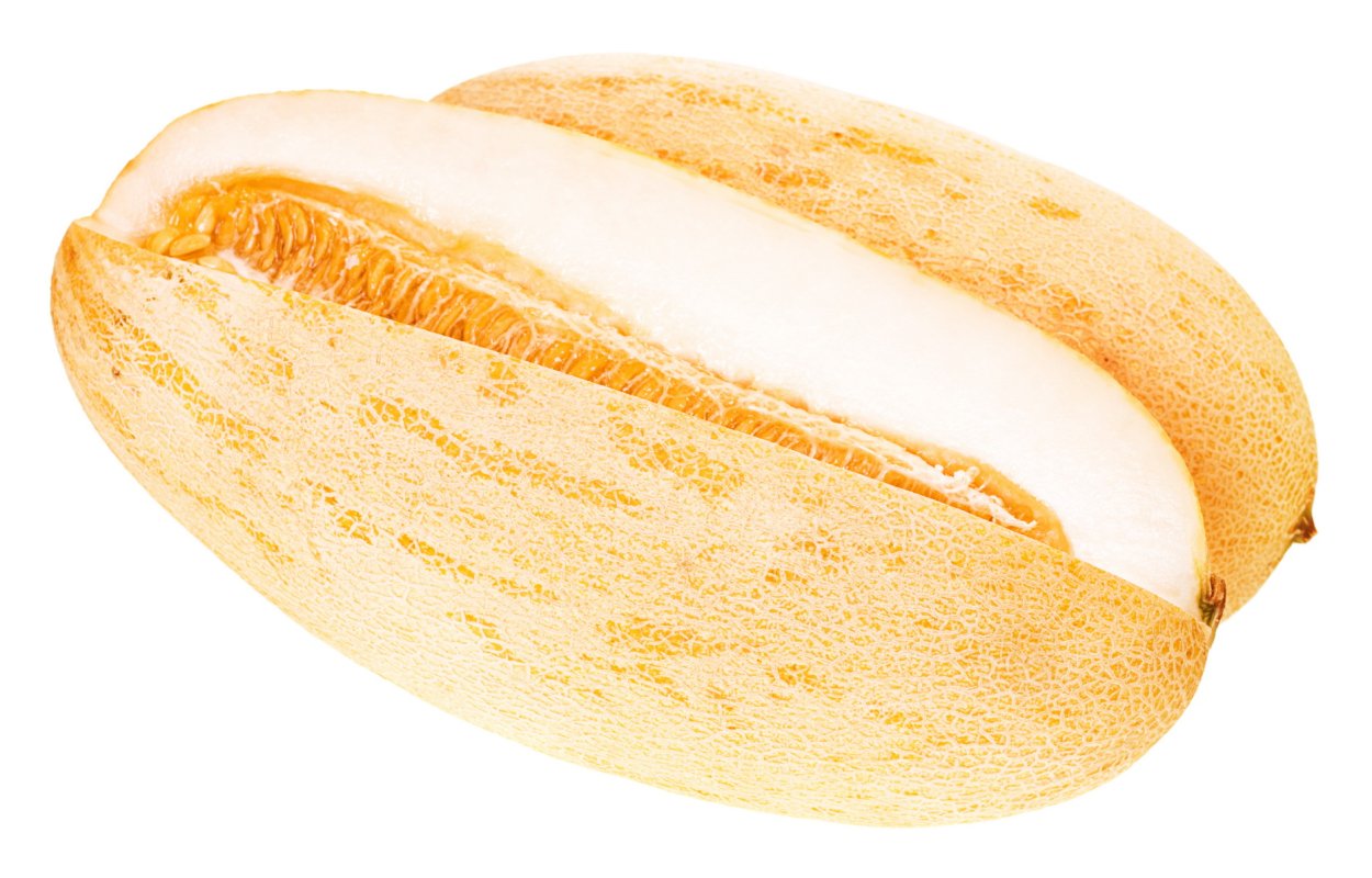 Дыня Галилей