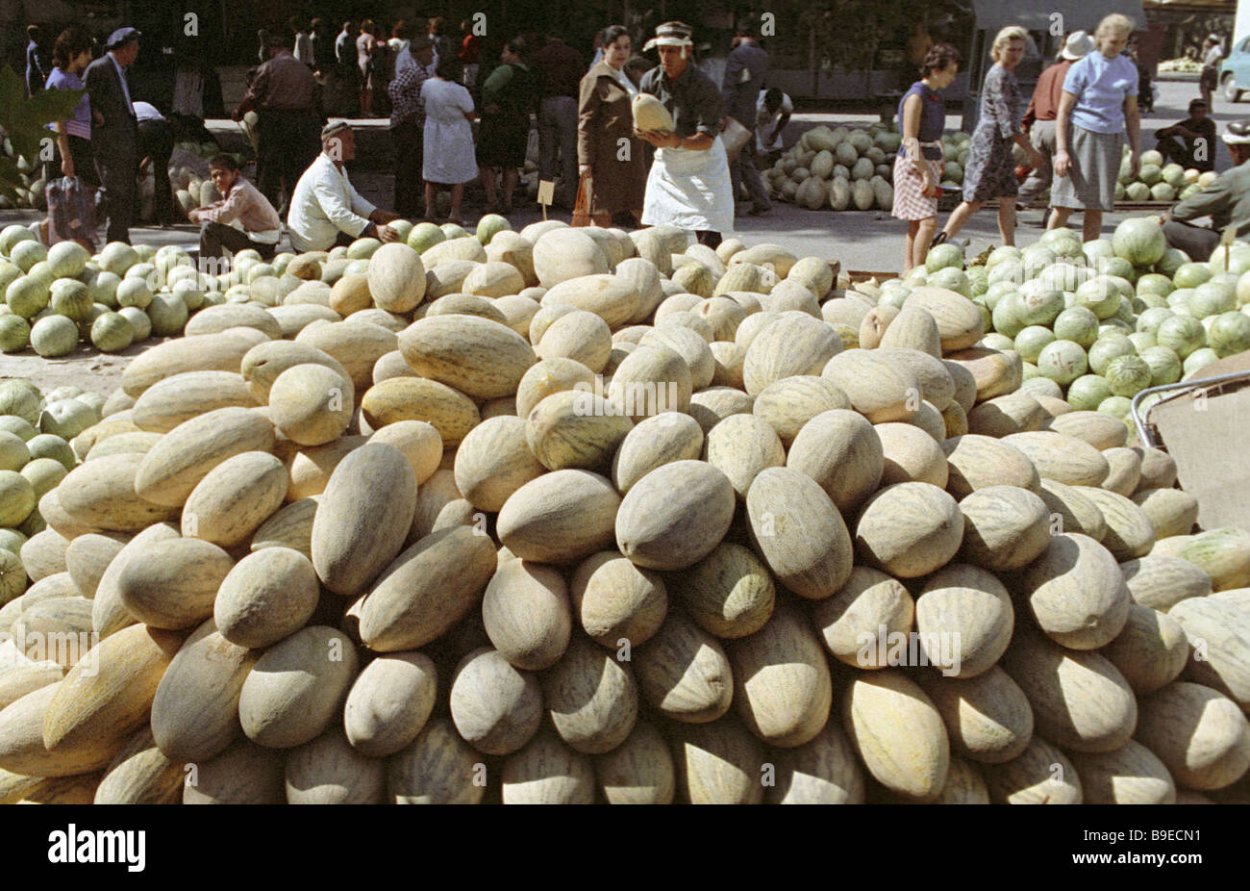 Дыня Узбекистан