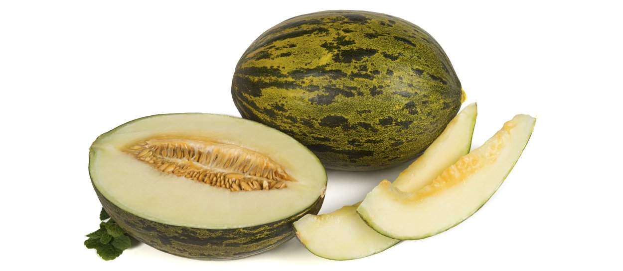 Пиел де сапо сорт дыни