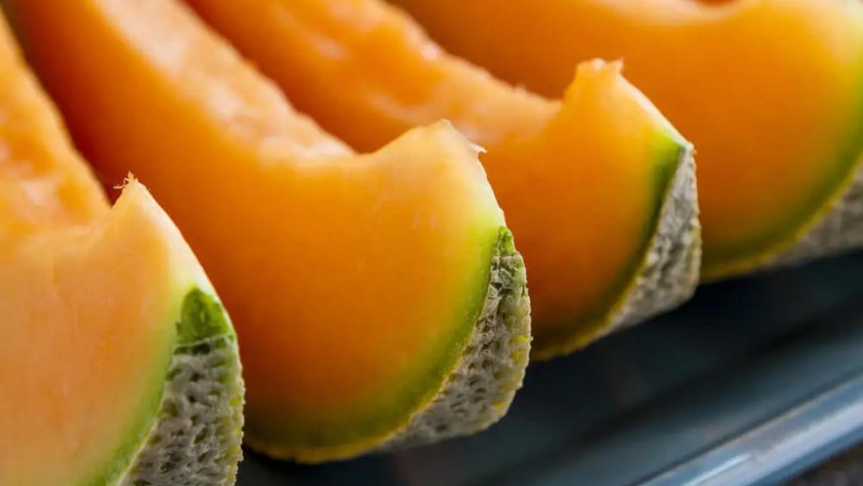 Сорта дыни торпеда колхозница и