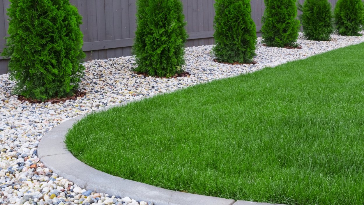 На дворе трава