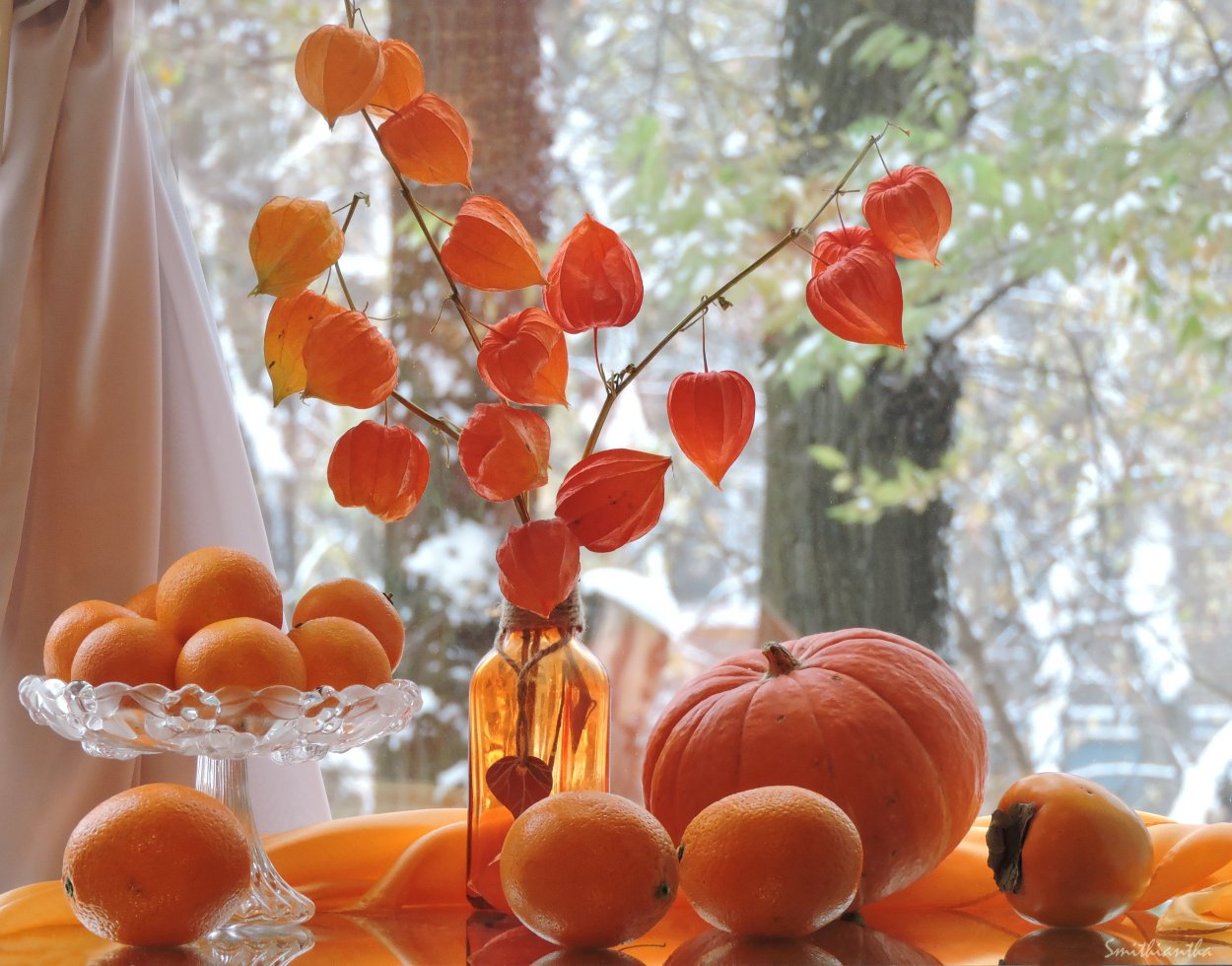 Оранжевое настроение