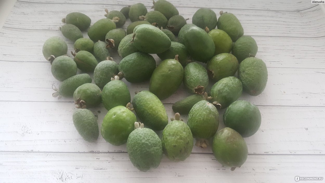 Слобода киви фейхоа