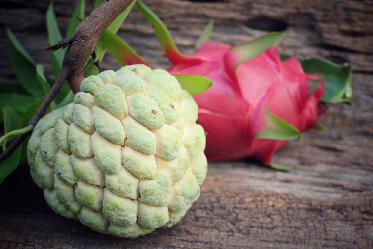 Заварные яблоки Тайланд