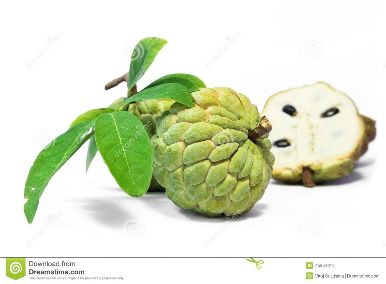 Сахарная яблоко черамойя