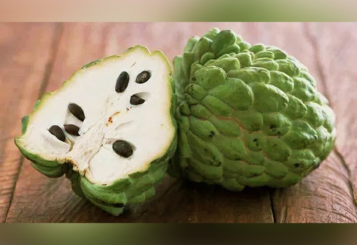 Аннона на белом фоне