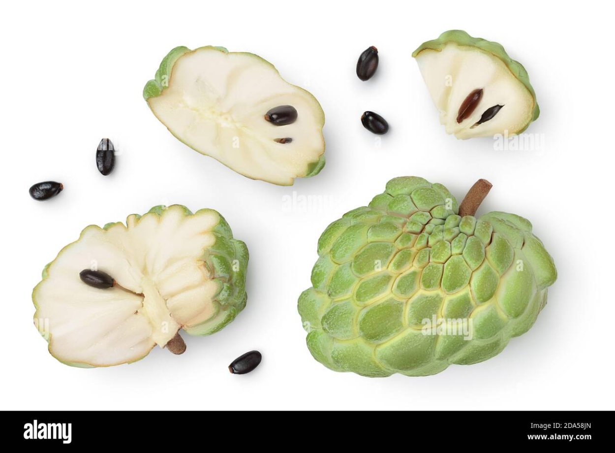 Сахарное яблоко Эшта