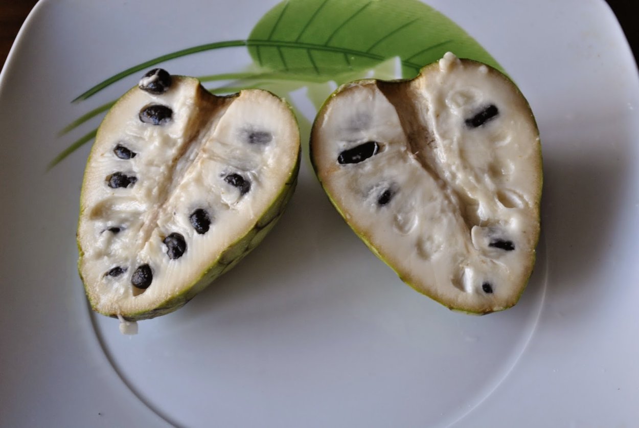 Аннона НОЙНА