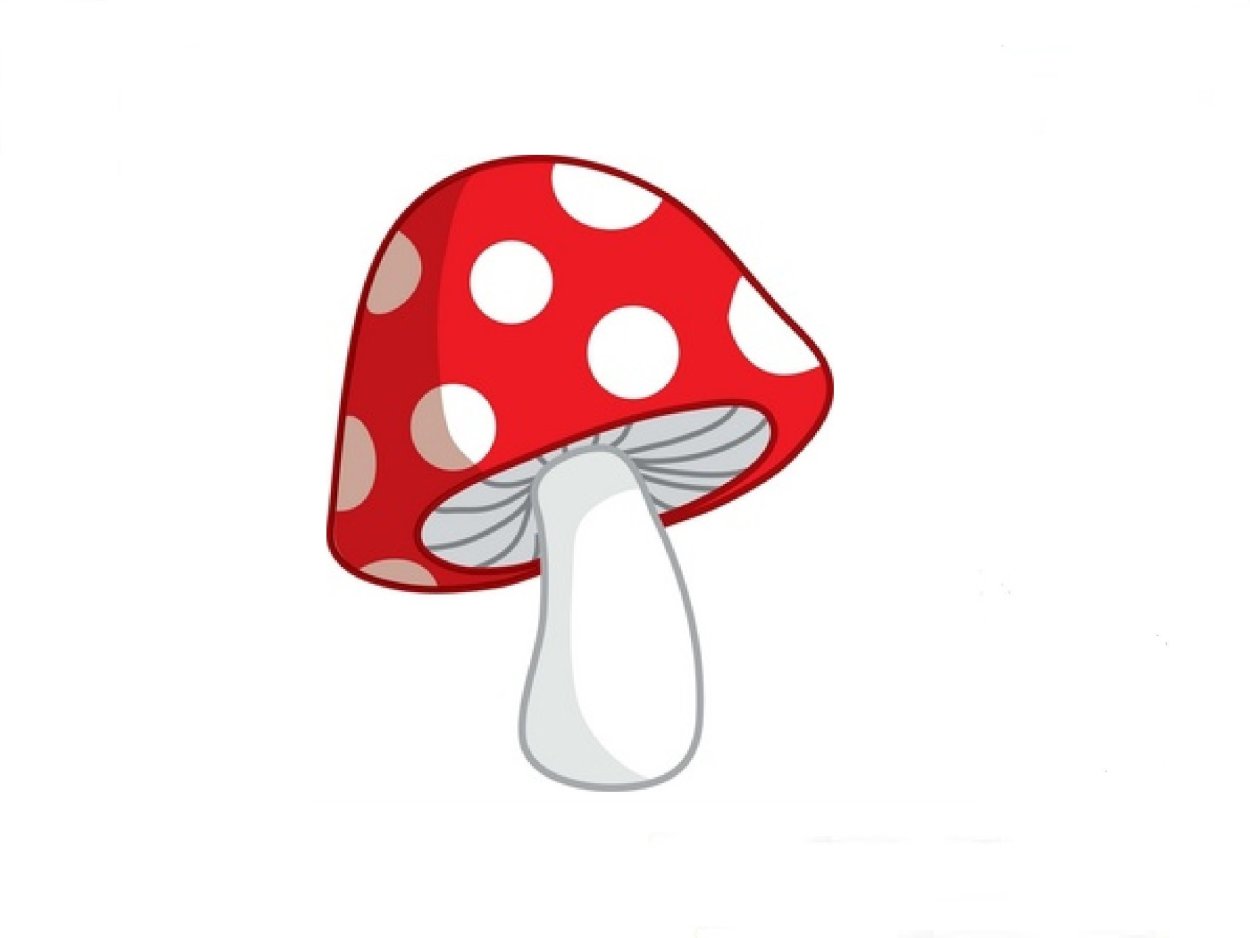 Грибы для детей мухомор белый гриб