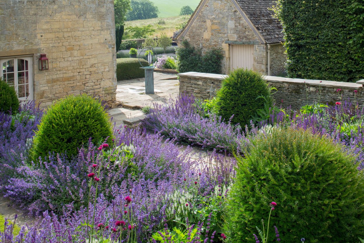 Композиции с дербенником