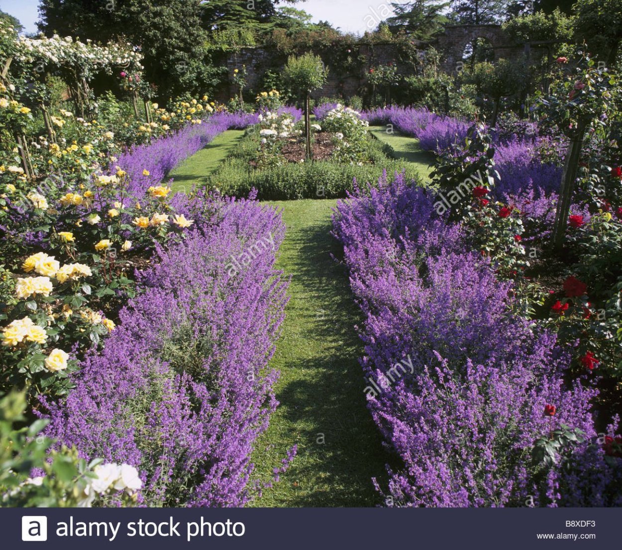 Миксбордер с вереском