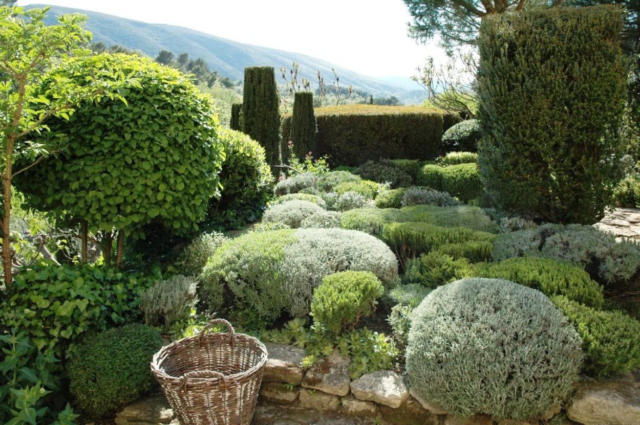 Флетлей Лаванда