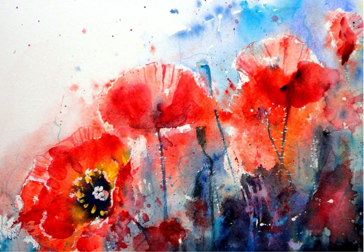 Маки акварелью