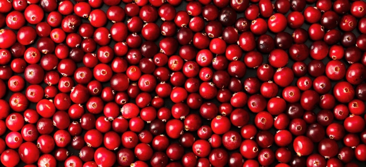 Карельская черника