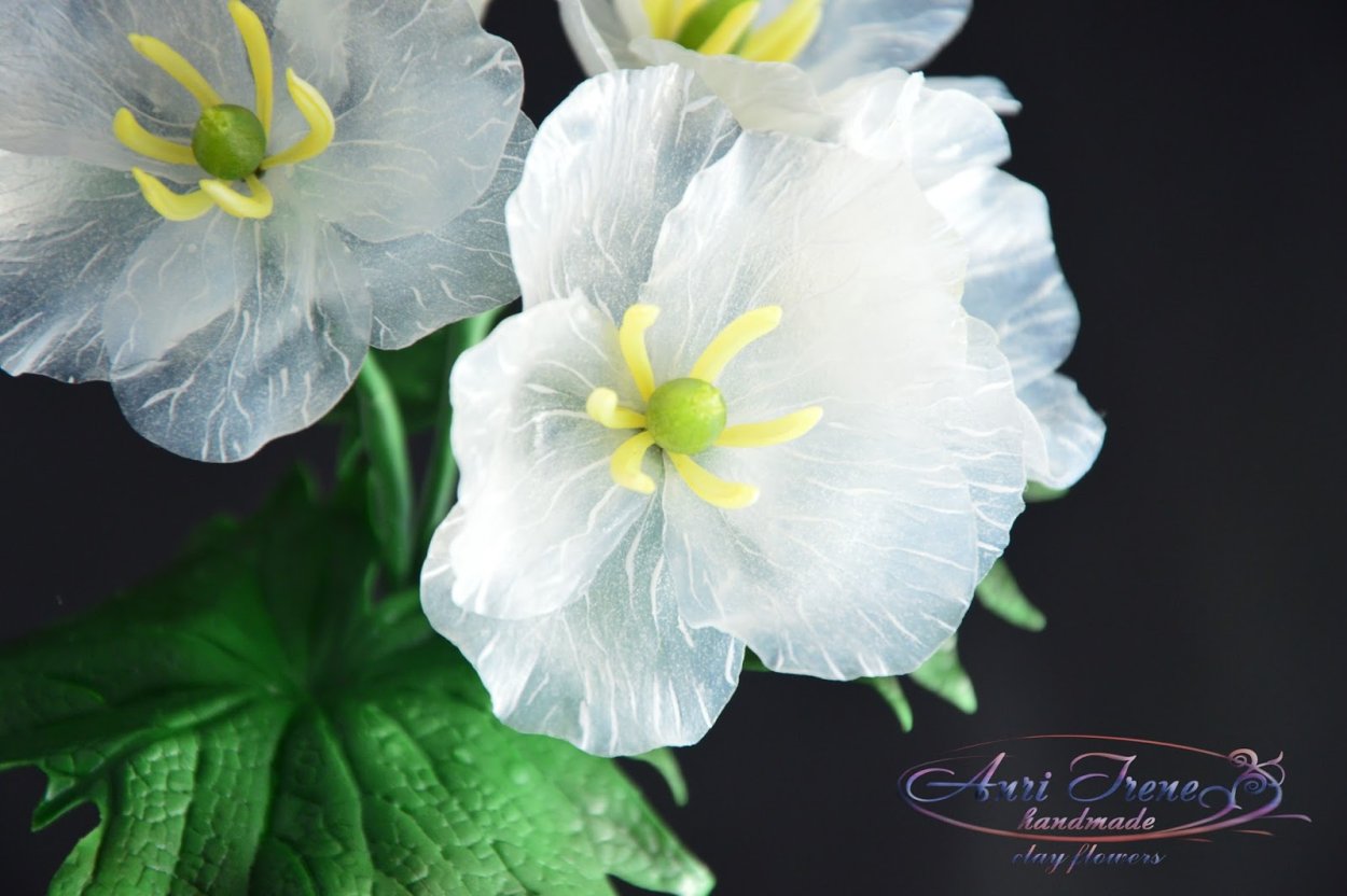 Двулистник (Skeleton Flower)