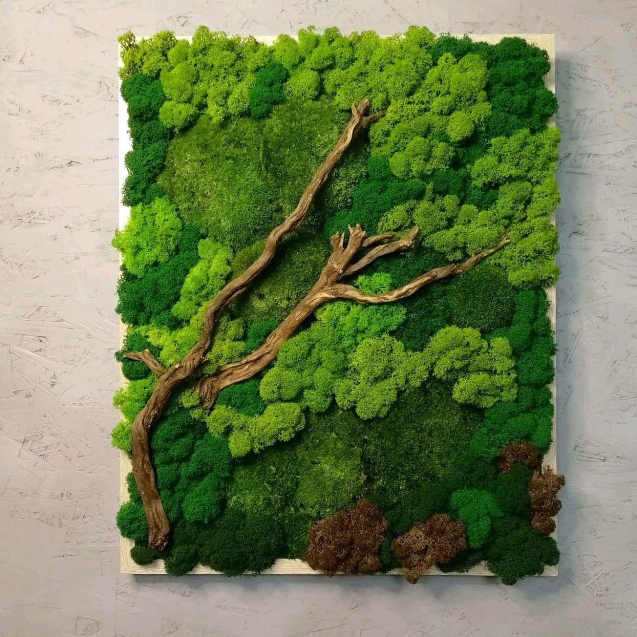 Мастер классы из стабилизированного мха осень