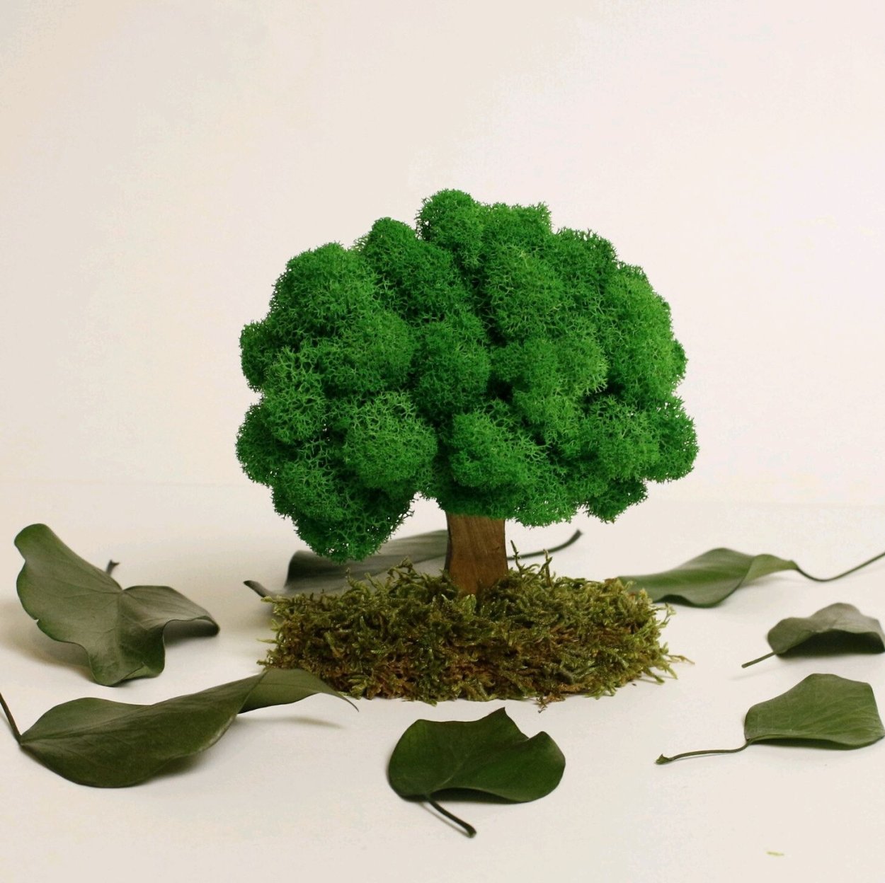 Флорариум с мхом