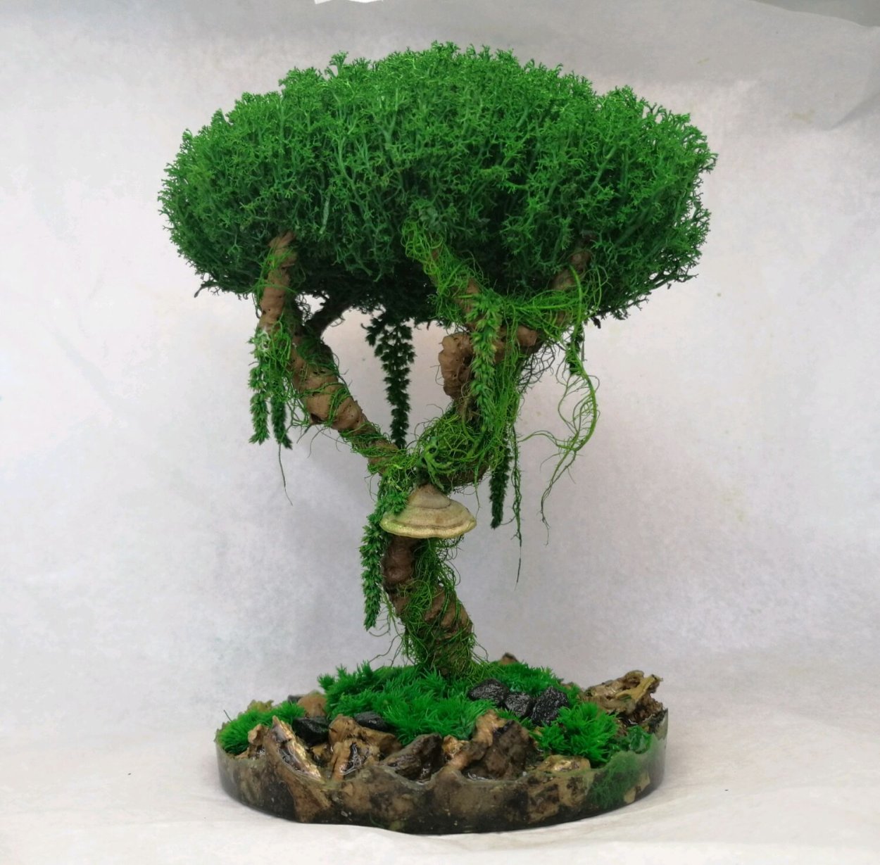 Дерево мох цетрария