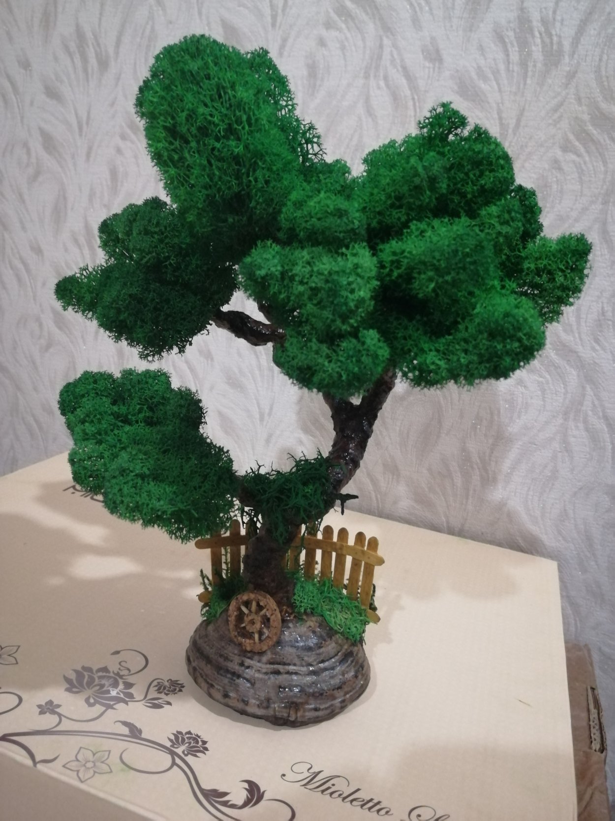 Рейши бонсай