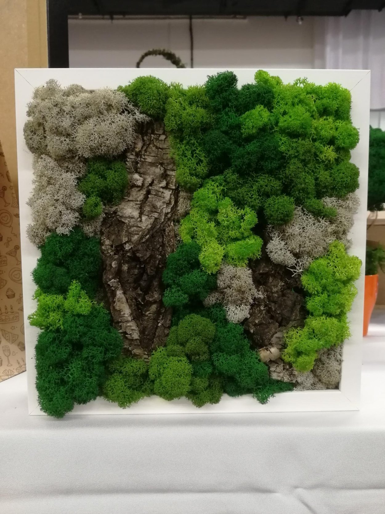 Банзай из стабилизированного мха