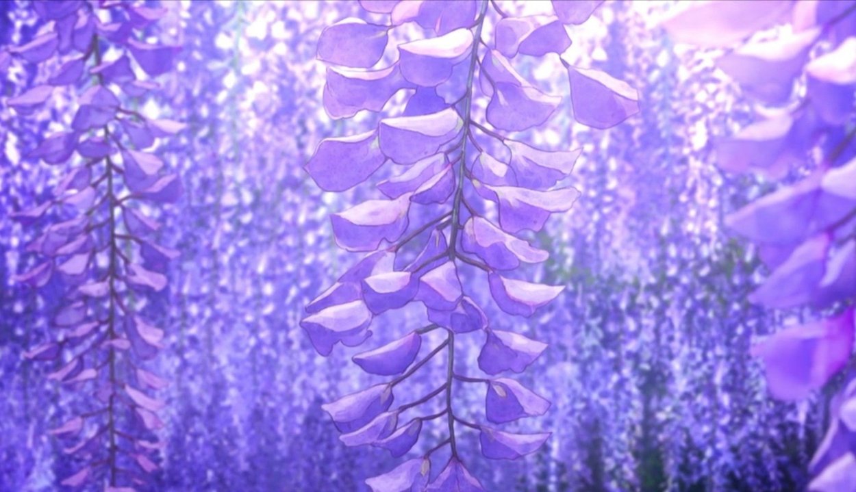 Глициния клинок рассекающий