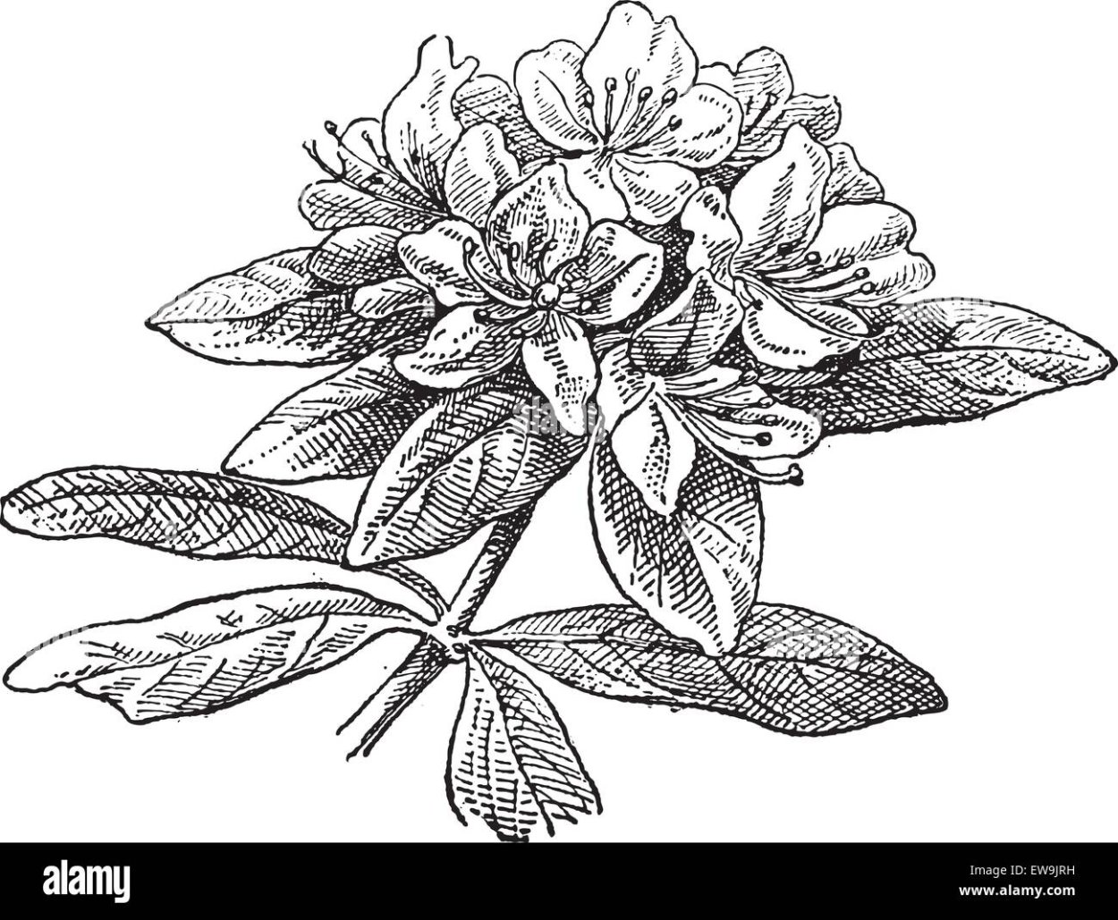 Саган дайля вектор