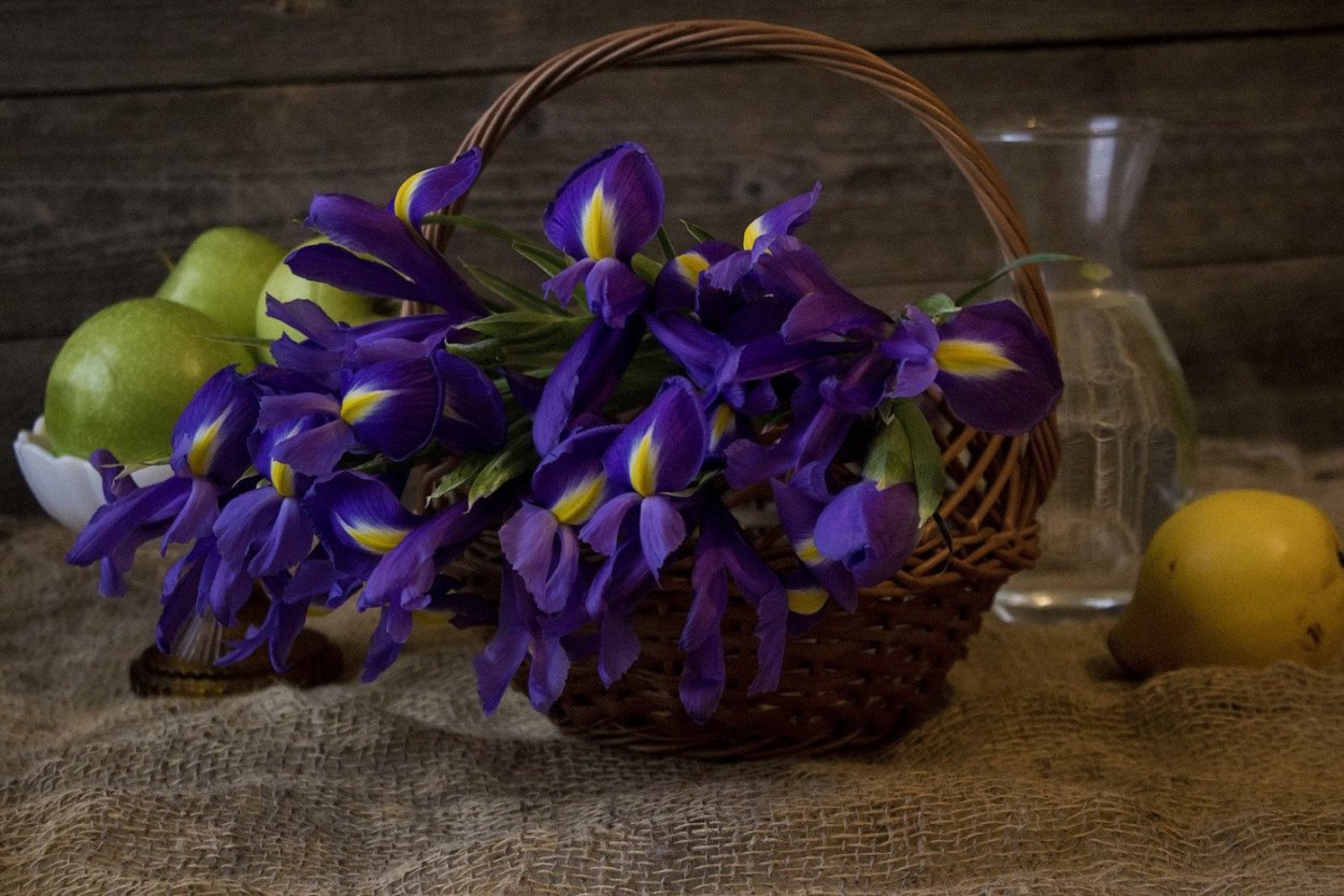 Ирисы натюрморт