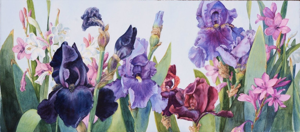 Художник Андрияка ирисы