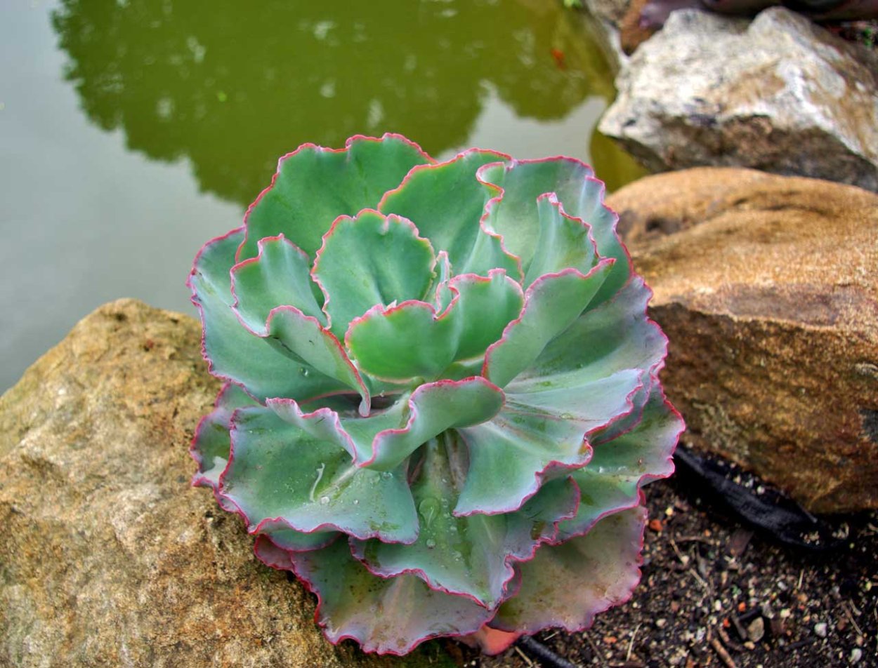 Остров Кергелен