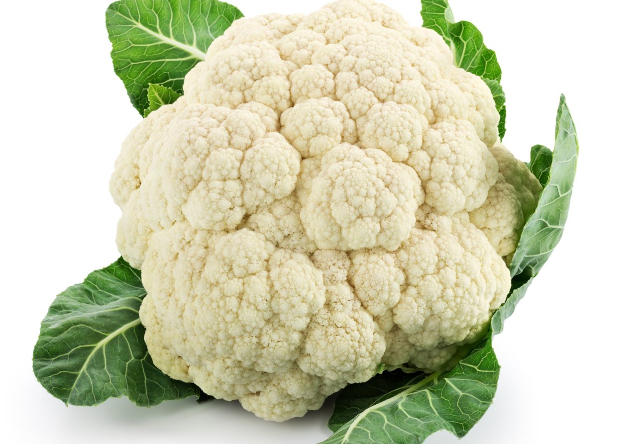 Кергеленская капуста в Антарктиде