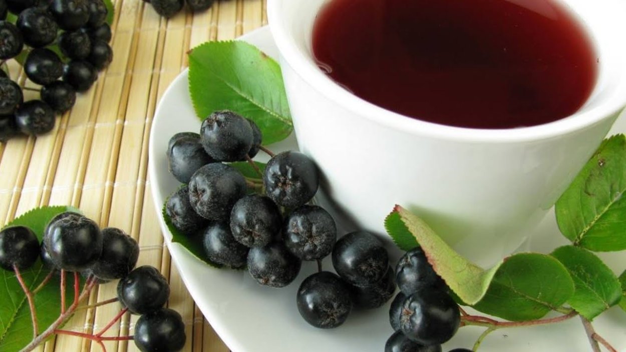 Чай с черноплодной рябиной