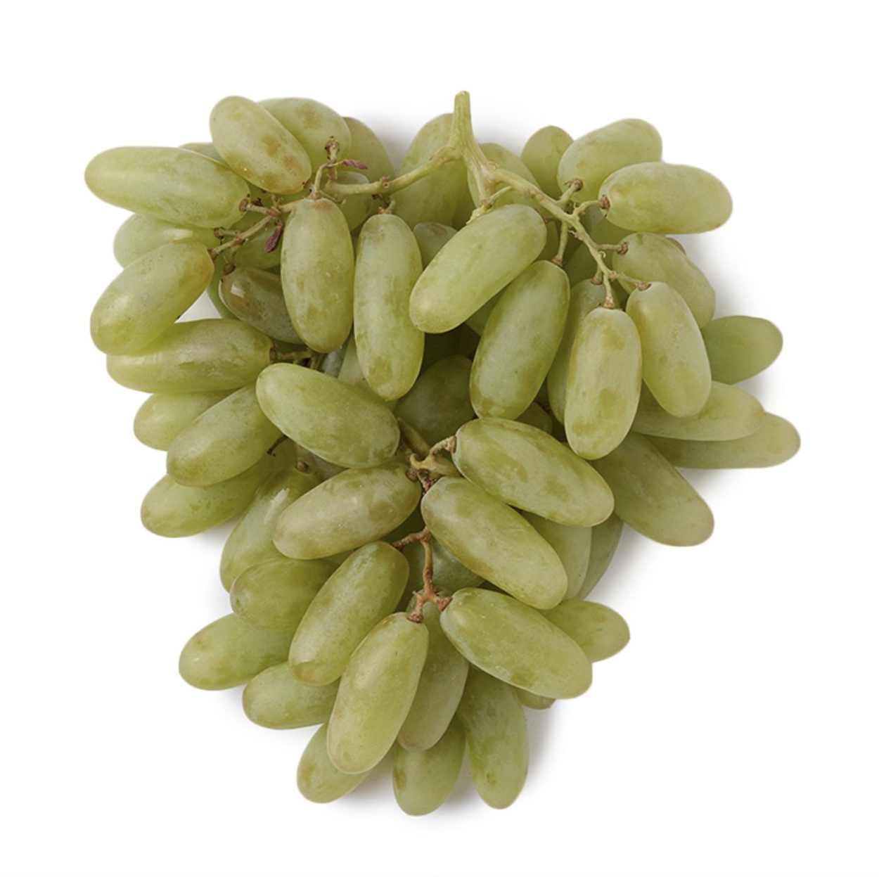 Seedless grapes черный виноград