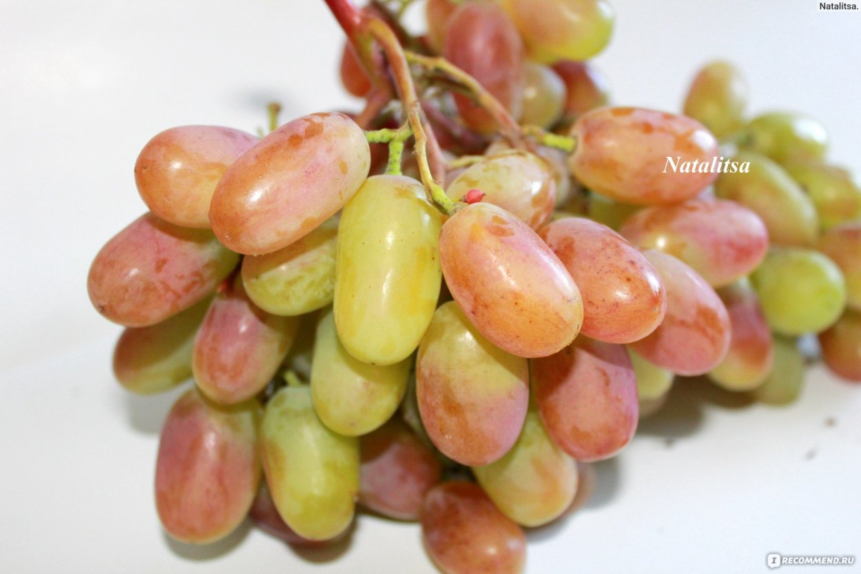 Узбекский виноград дамские пальчики