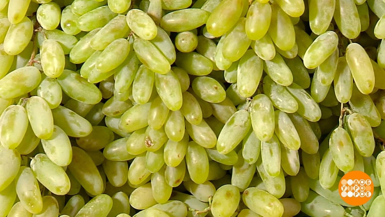 Виноград Свит сапфир