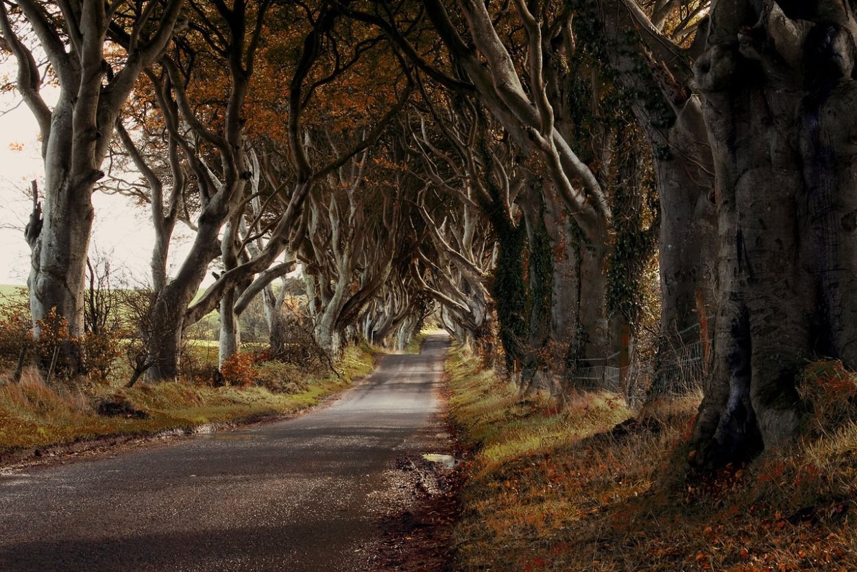 Аллея фэнтези