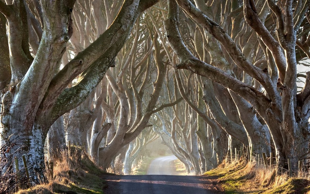 Дарк Хеджес Ирландия