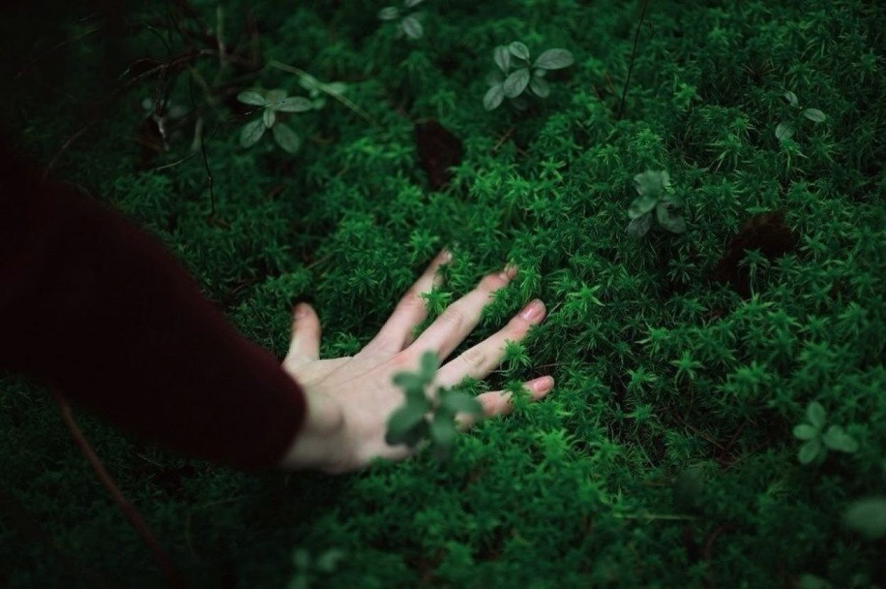 Магия земли Эстетика