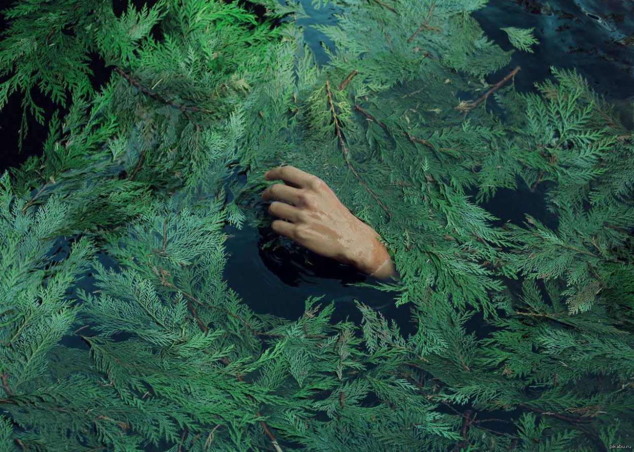 Полянка в лесу Эстетика