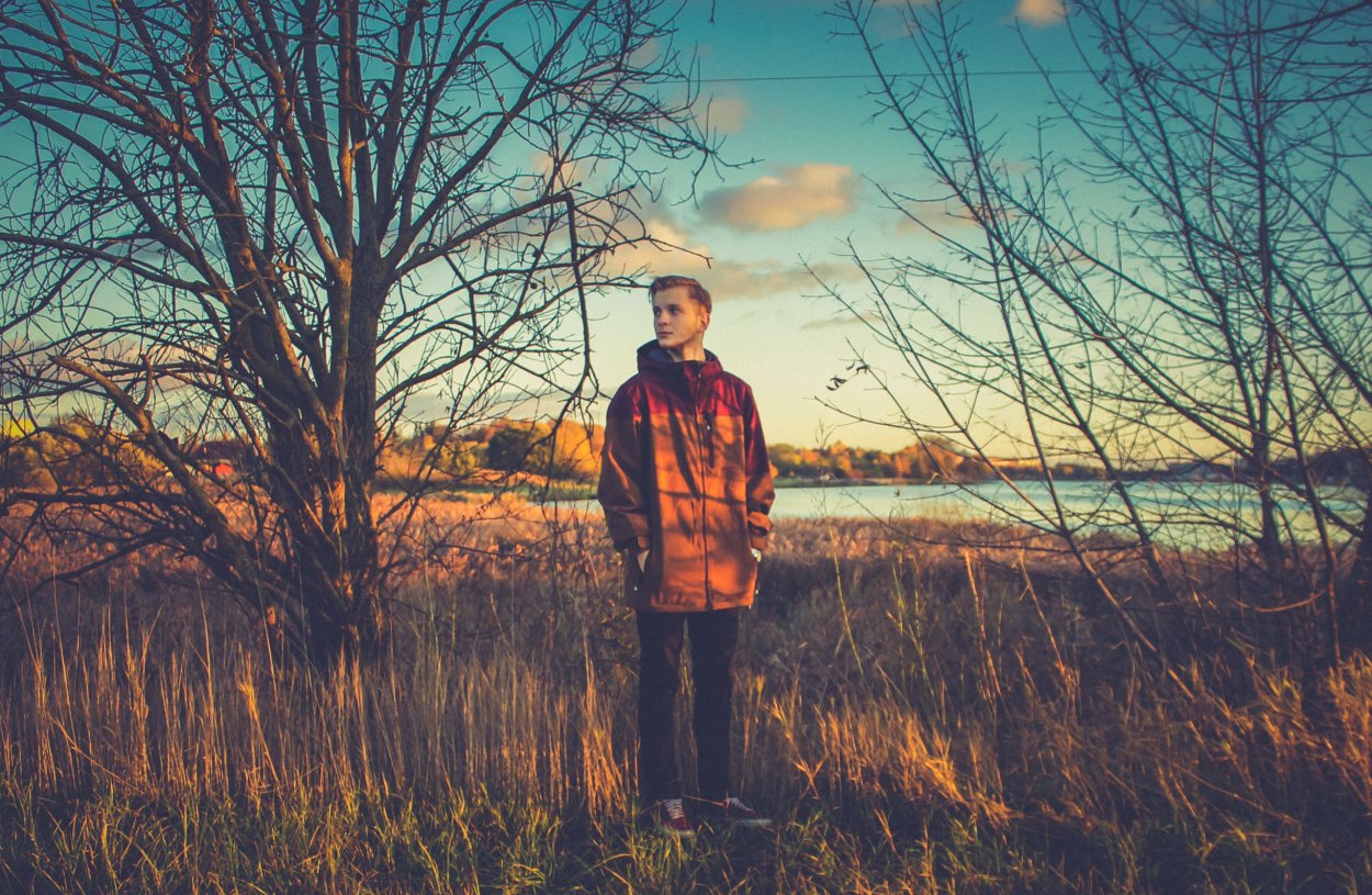 Карелия Петрозаводск лес