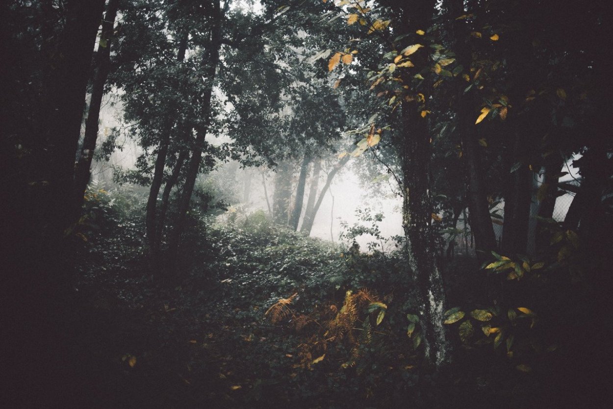 Атмосферный домик