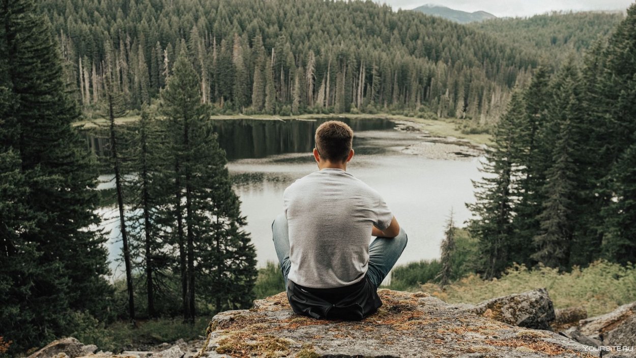 Андрей Королюк Ботанический сад