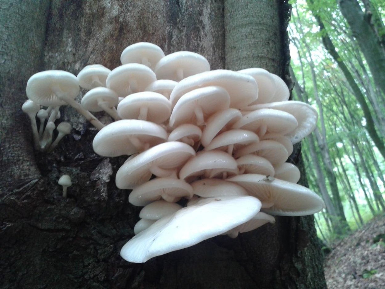 Эстетика красивая