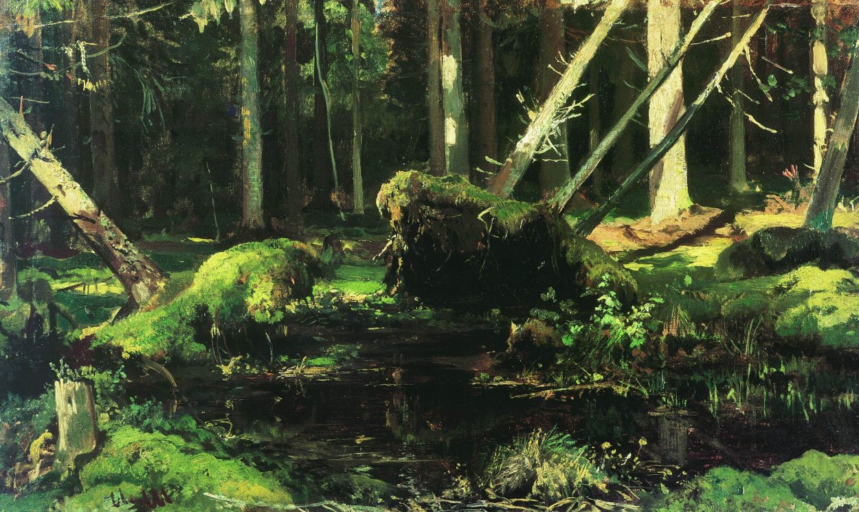 Иван Шишкин дебри