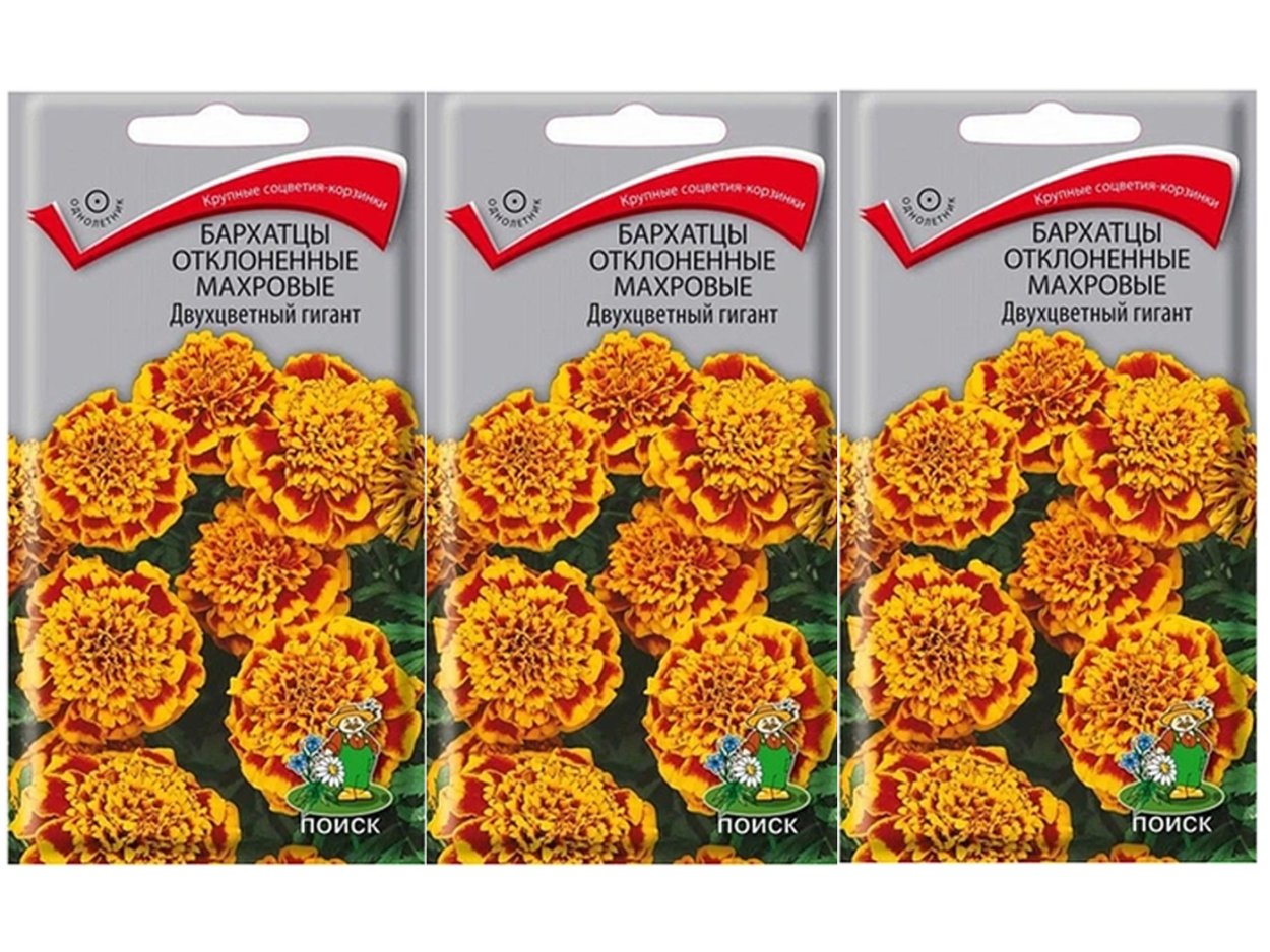 Бархатцы отклоненные двухцветный гигант