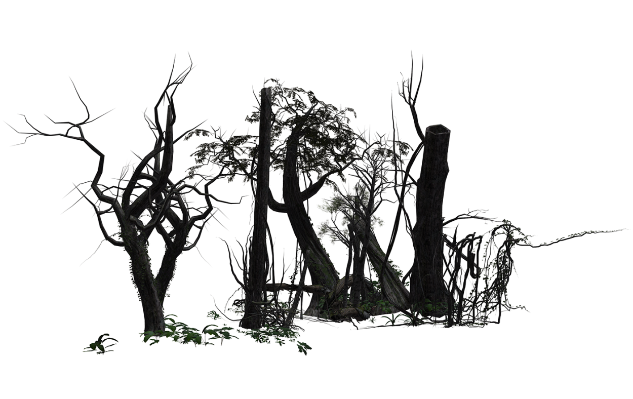 Темный лес на прозрачном фоне