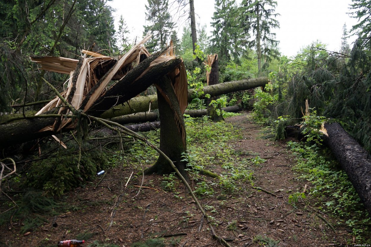 Бурелом в 2010 игора