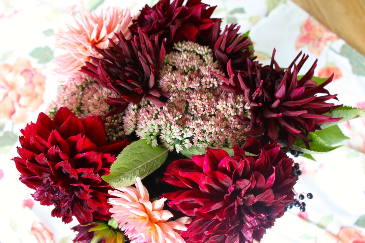 Георгины букет