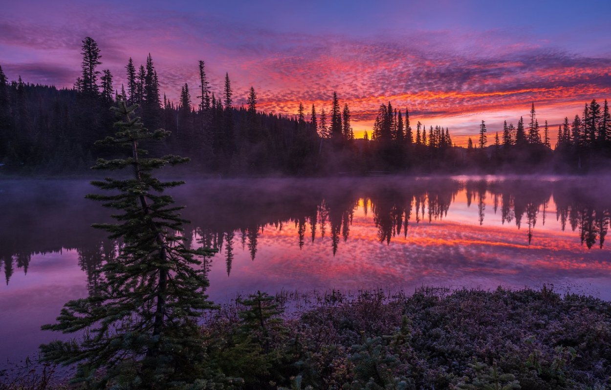 Закат на болоте