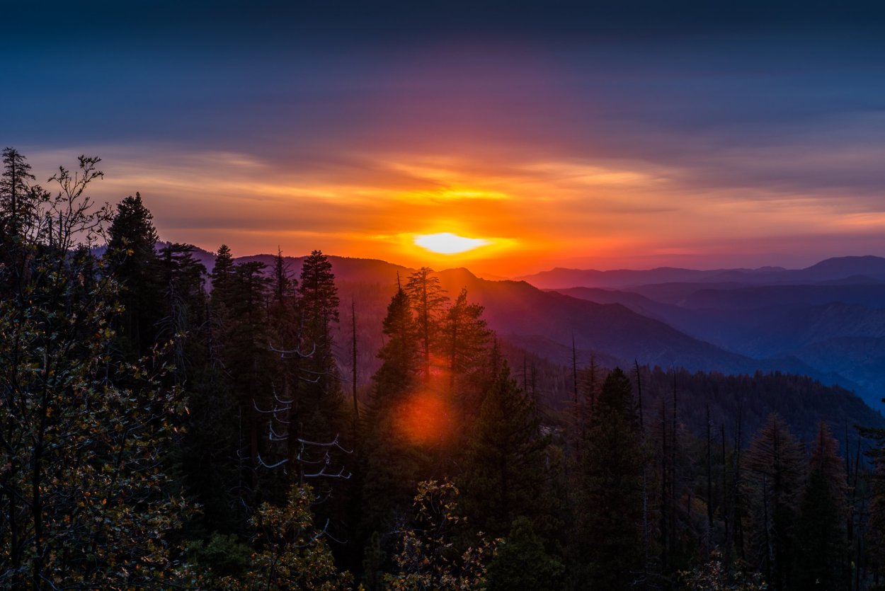 Горы лес закат