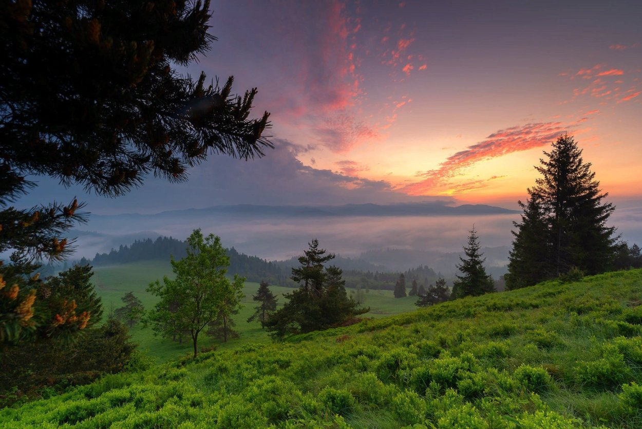 Природа вечер